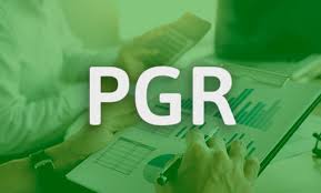 PGR: Programa de Gerenciamento de Riscos